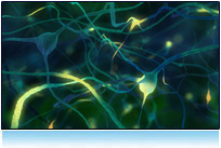 DNA visualization, deoxyribonucleic acid, - (biochemistry) a long linear polymer found in the nucleus of a cell and formed from nucleotides and shaped like a double helix; associated with the transmission of genetic information; DNA is the king of molecules